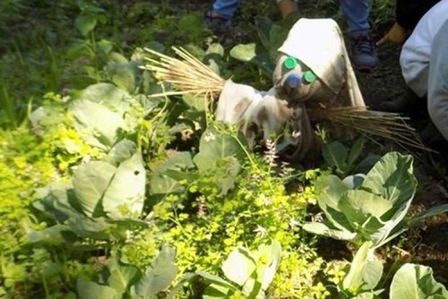 programa_mais_jardim_OFEI_noticia